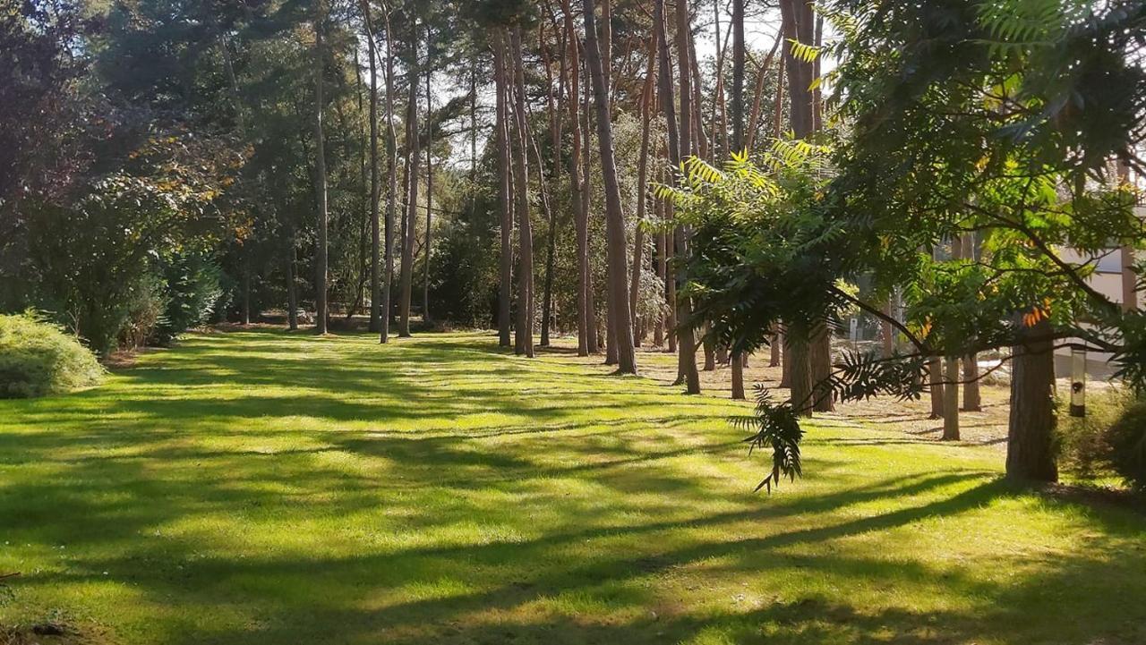 La Maison De Lise Hébergement de vacances Ville-Pommeroeul